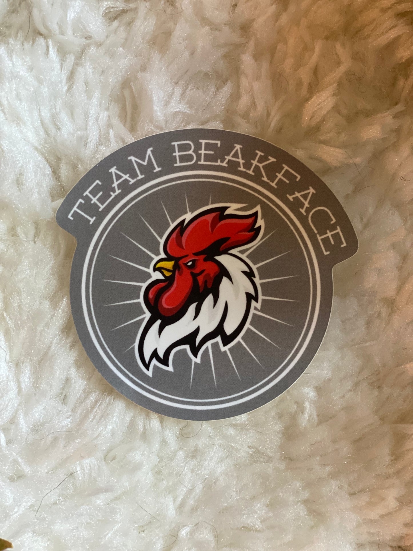 Team Beakface Sticker